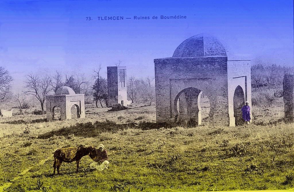 Tlemcen Environs 032.jpg